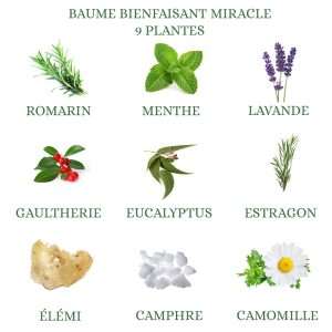 Baume Bienfaisant Miracle aux 9 Plantes